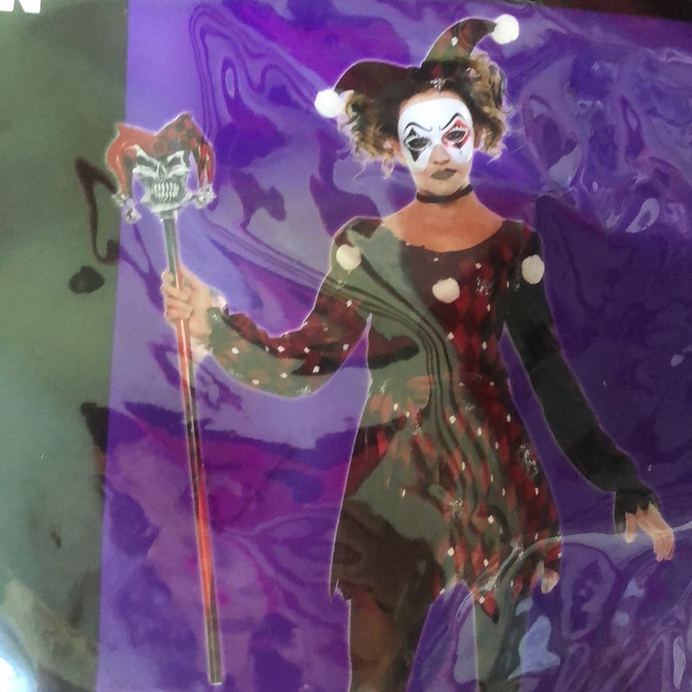 HarleQuin Costume